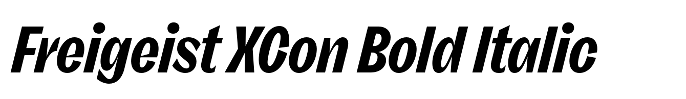 Freigeist XCon Bold Italic